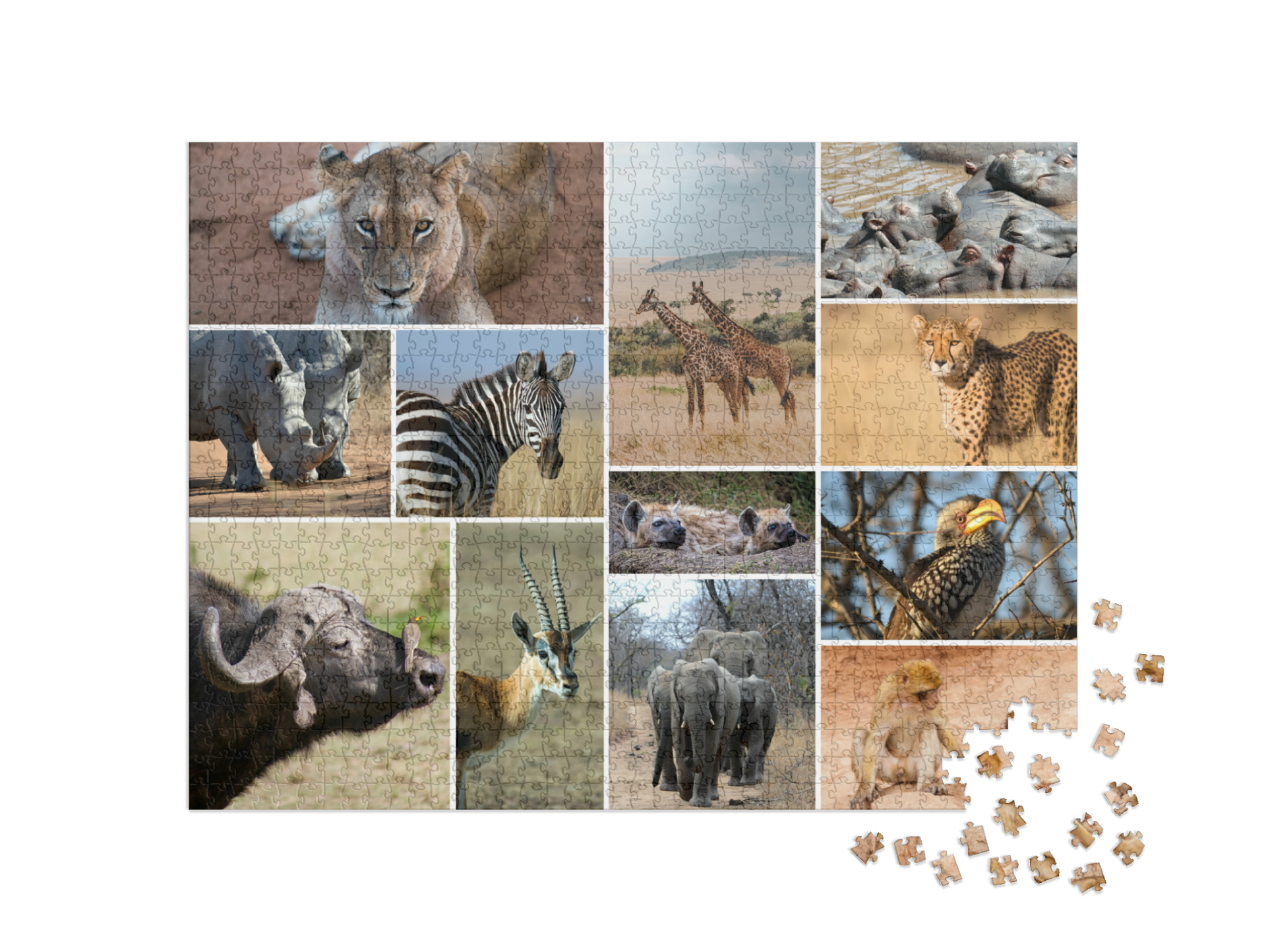Puzzle collage