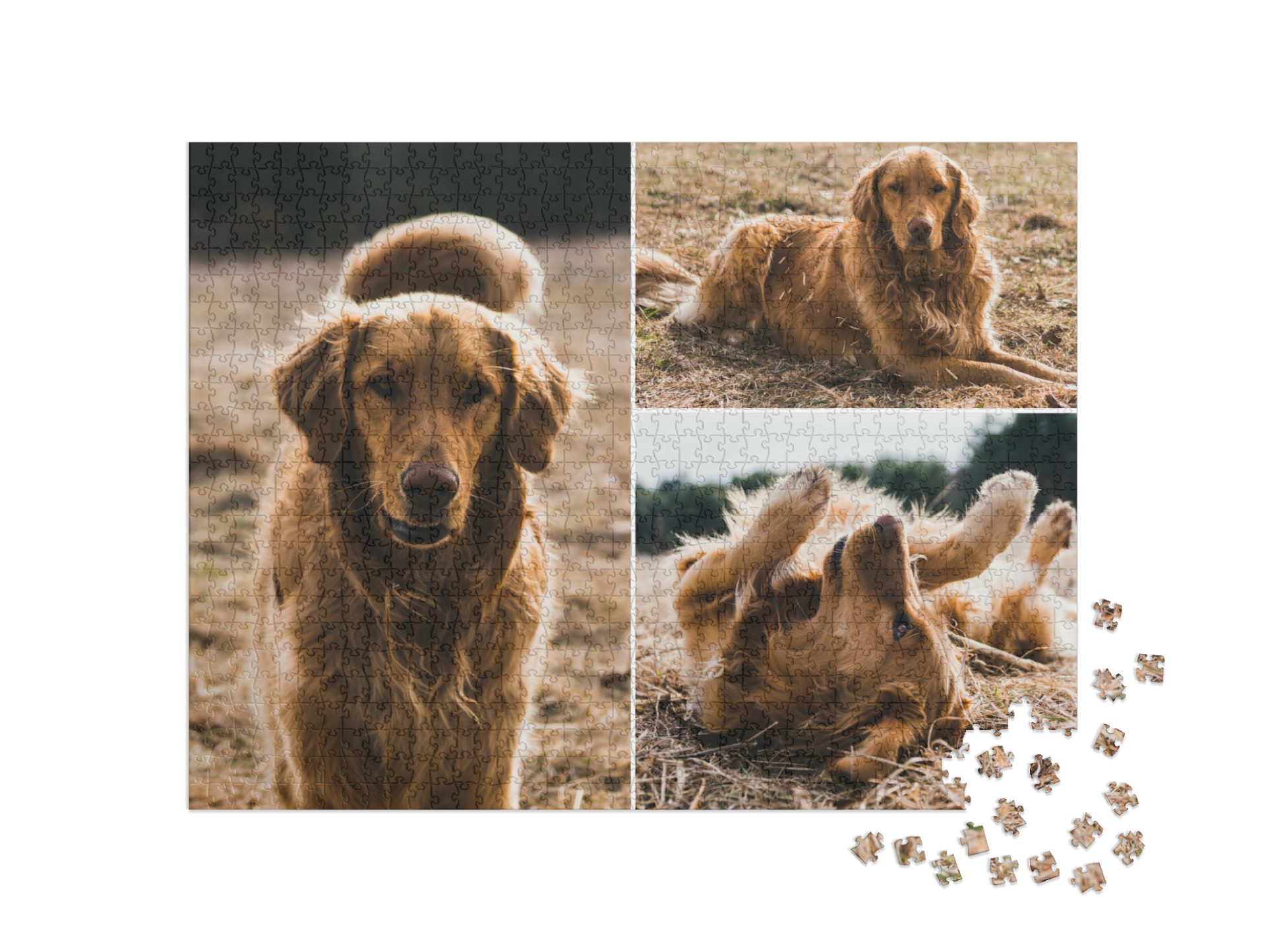 Puzzle collage