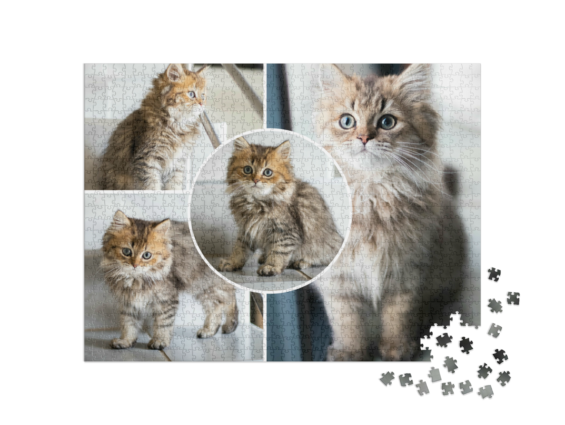 Puzzle collage