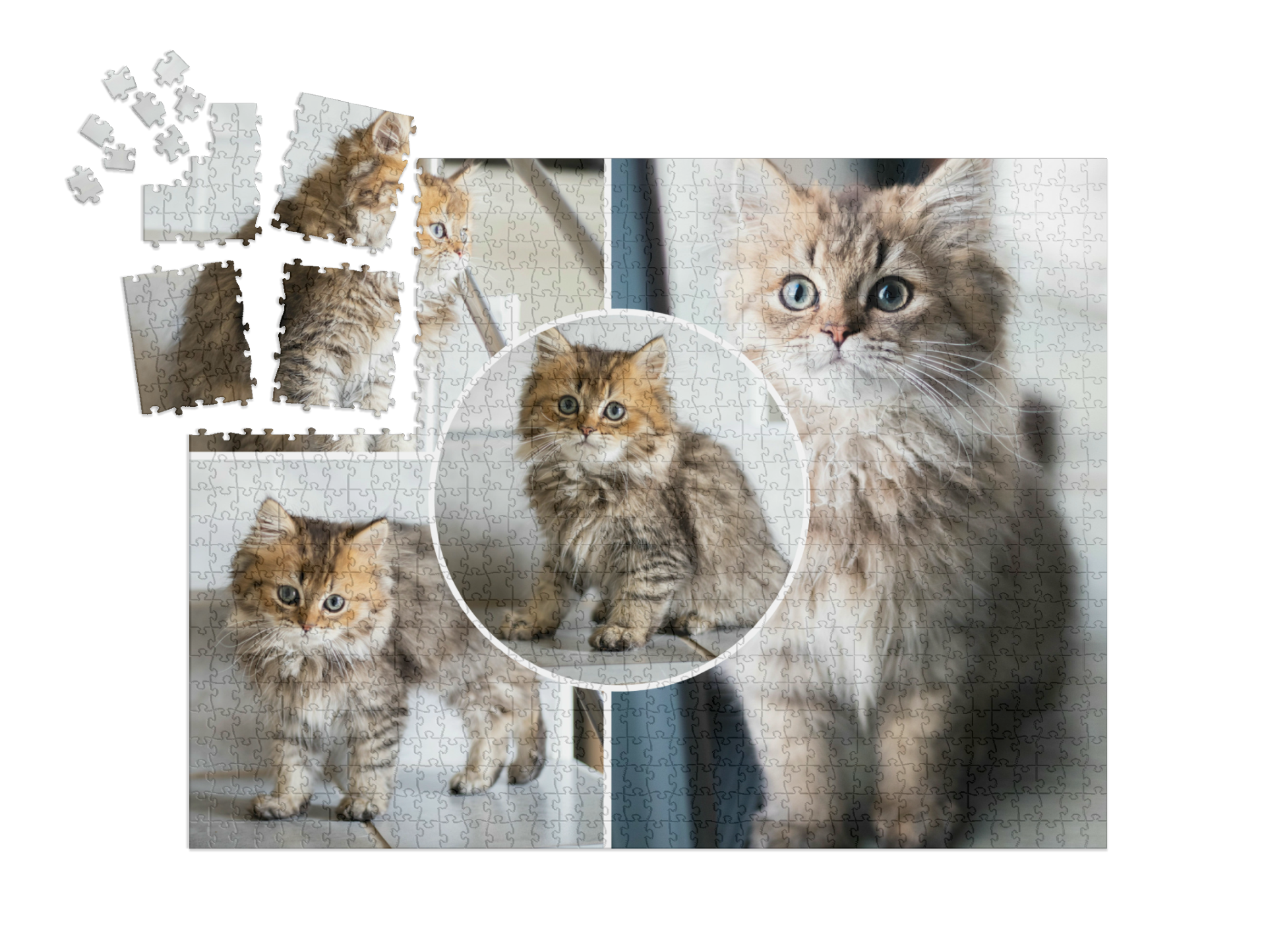 Puzzle collage